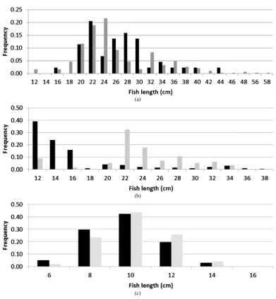 Figure 4. Length distribution of all fish caught in the multimesh gillnets BEFORE (black bars) and AFTER (light grey bars) the reef restoration