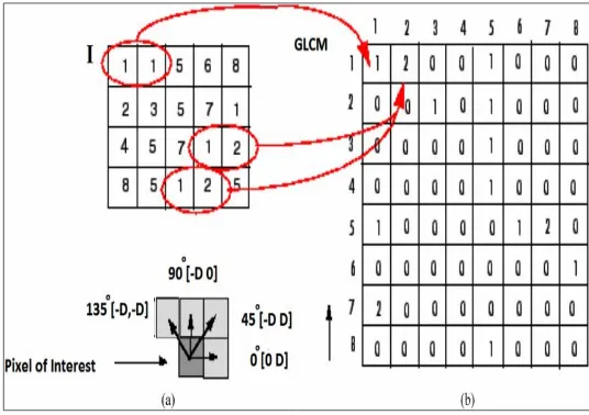 Figure 3: (a) Input image & (b) Gray Level Cooccurrence Matrix (GLCM) 