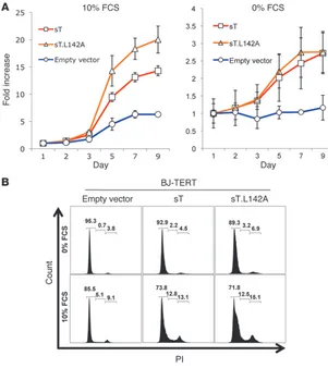 Figure 5MCV sT promotes serum-independent human BJ-
