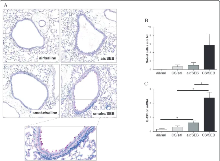 Figure 6 Epithelial remodeling. A) Histological evaluation of goblet cell hyperplasia on Periodic Acid Schiff (PAS) stained lung tissue sections of mice exposed to saline or SEB, combined with air or CS