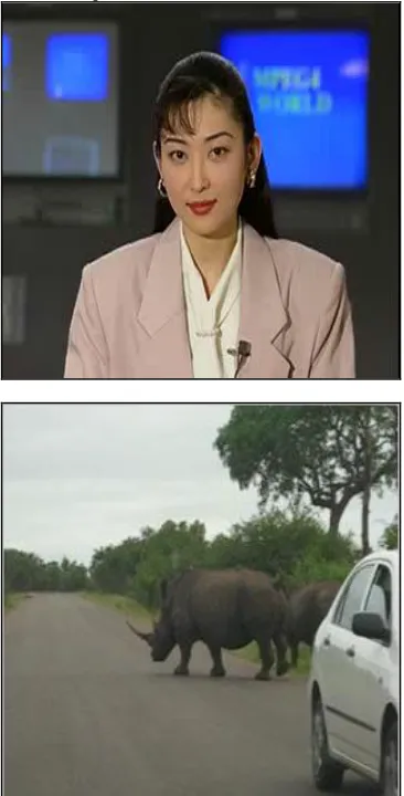 Figure 4  Video for testing the steganography algorithm, newsreader.avi(Upper),Rhino.avi(Middle) and coastguard.avi(Lower) 