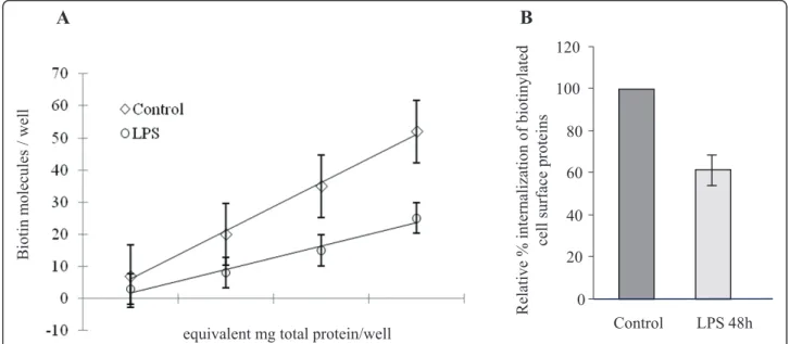 Figure 3 Effects of 1 μg/ml LPS exposure causes significant inhibition of caveolae internalization