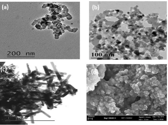 Figure 4. Effect of contact time on removal of fluoride on 0.5 g of adsorbents in water