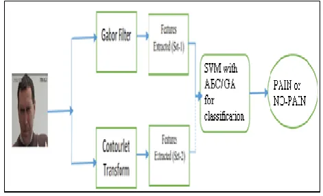 Figure 3: The multi-channel DFB 