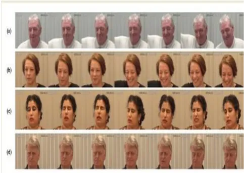 Figure 7 : Examples of some of sequences from the -McMaster Shoulder Pain Expression Archive Database 