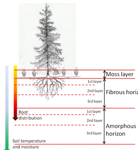 Figure 1. Schematic representation of the soil decompositionmodel.