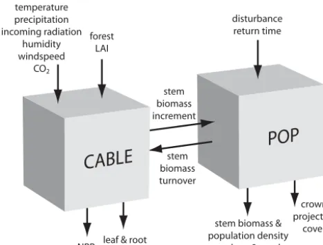 Figure 1. Coupling of CABLE and POP, along with key inputs andoutputs.