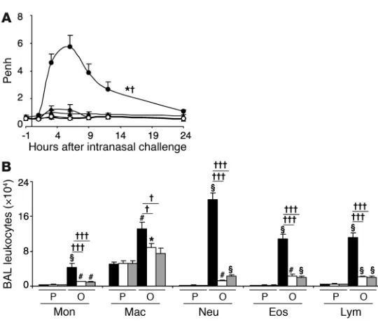 Figure 1Influence of IFN-