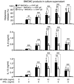Figure 2Influence of IFN-