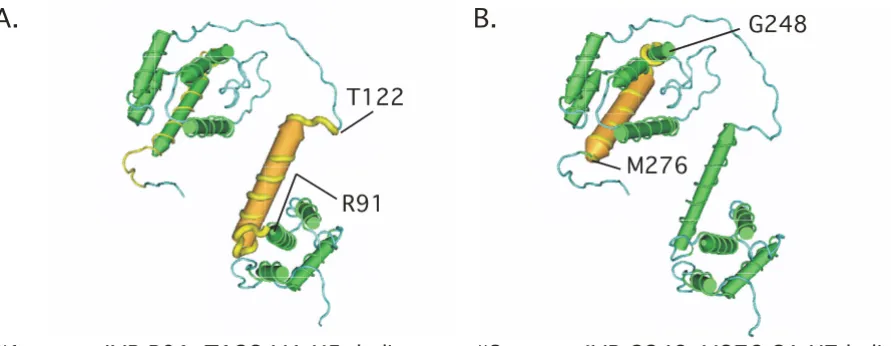 Figure 2The longest IMRs coincide with key protein functional motifsThe longest IMRs coincide with key protein functional motifs