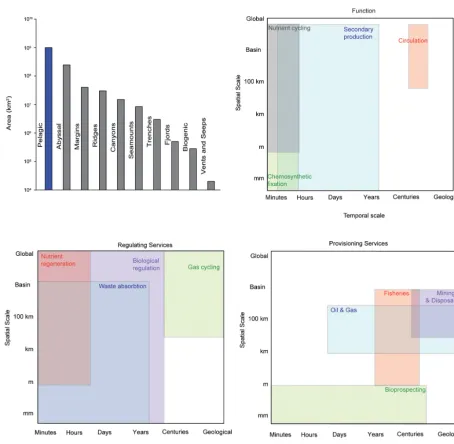Figure 3. (A) The spatial extent of each of the main deep-sea habitats (pelagic is in kmRamirez-Llodra et al., 2010.)