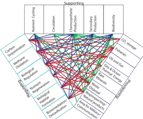Figure 4. The links between the supporting, provisioning, and reg-ulating services within the deep sea
