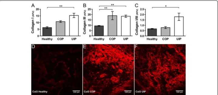 Fig. 5 Increased Col1 and Col3 deposition, and Col1:Col3 ratio differences, in UIP or COP versus healthy lung