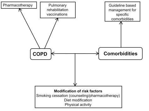 Figure 3 A holistic approach to medical intervention. Abbreviation: COPD, chronic obstructive pulmonary disease.