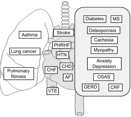 Figure 1 The most common and clinically important comorbidities in patients with COPD.