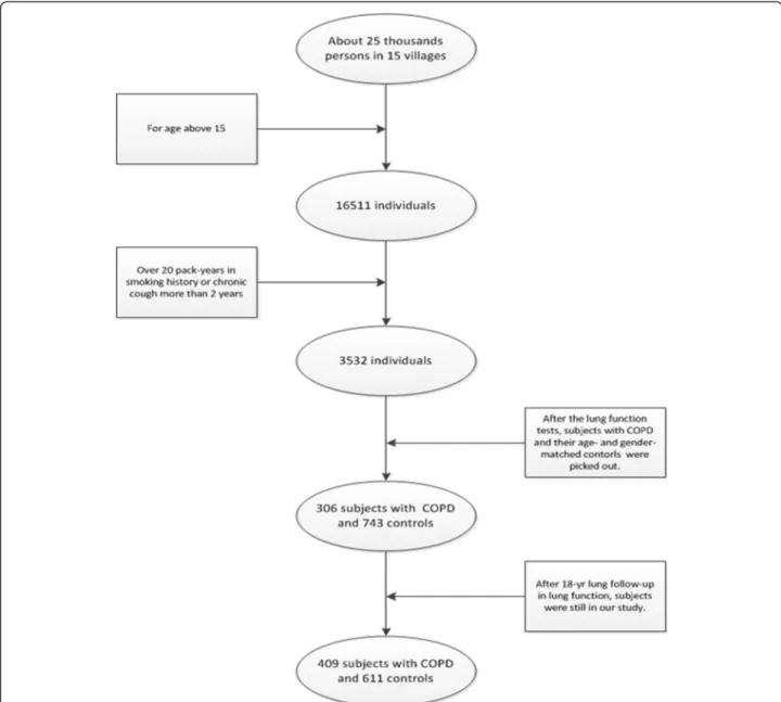 Figure 1 The process of our study in the prospective follow-up stage. In the beginning (in 1992), COPD and controls who had same risk for developing COPD were identified after the lung function performed