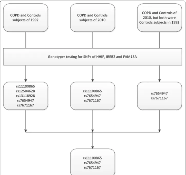 Figure 3 The genetic variants identified as being associated with increased COPD risk in different groups of subjects of the follow-up stage