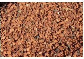 Fig. Brick Bats  
