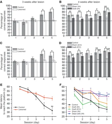 Figure 3IH and ICV transplantation of human OE-MSCs improved hippocampus-dependent learning and memory