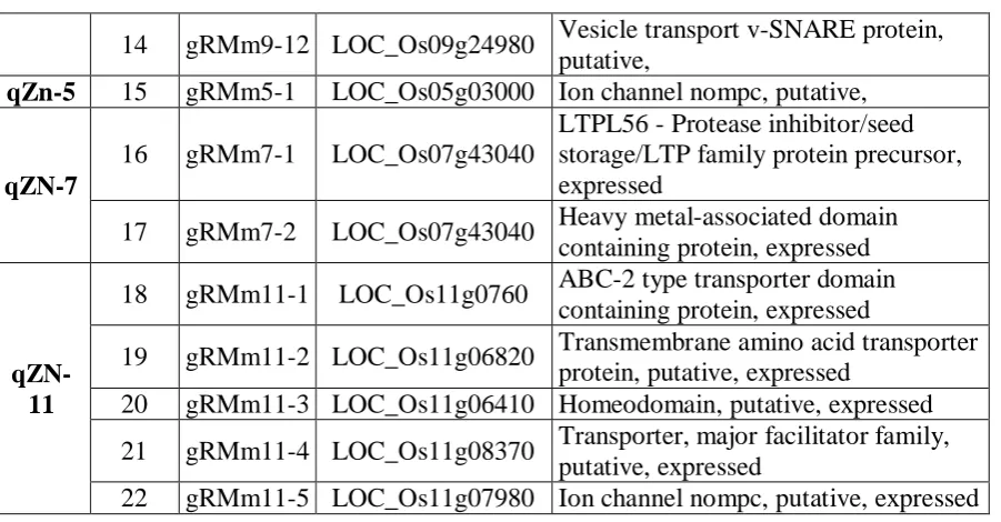 Figure. 5: Map position of QTL qFE-1 on Ch # 1 along with co-localized putative SSRs markers identified