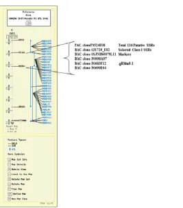 Figure. 6: Map position of QTL q FE-9 on Ch #9 along with co-localized putative SSRs markers identified