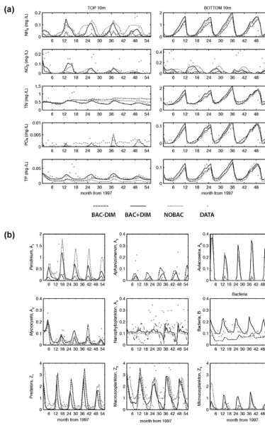 Figure 2. Comparison of model simulations for (a) nutrient variables in the surface 10 m (left) and the bottom 10 m (right) of the watercolumn (mg L−1), and (b) for the nine simulated biotic groups (mg C L−1 for A1–5 and B, and mg C m−2 for Z1–3)