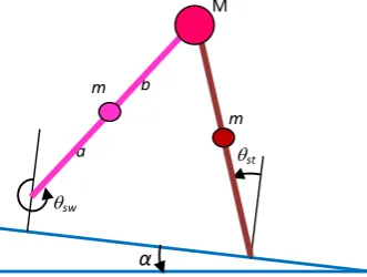 Figure 1. Schematic representing the generalized coordinates (θ,)stθsw of a biped robot with two point masses of mass m at the centre of mass of legs and one at hip of mass M