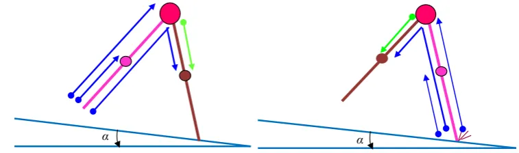 Figure 2. Orientation of the angular momentums of the swing leg’s foot before and after the impact are displayed by the blue lines and for the hip, it displayed by the green lines