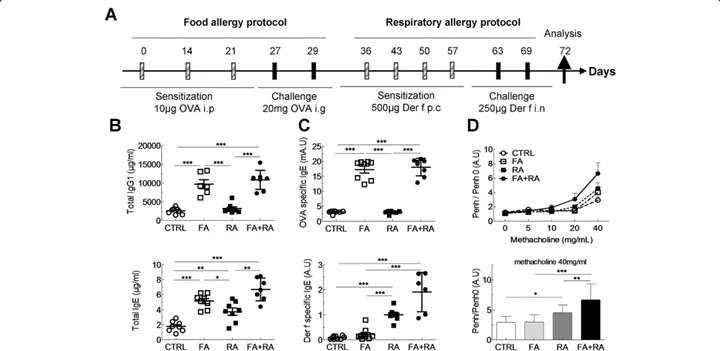 Figure 4 OVA-induced gastrointestinal food allergy increases immunoglobulin production and allergic airways response in Der f-induced asthma model