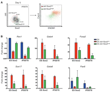 Figure 4Methodology for purification of ES/iPS cell–derived endoderm. (A) Representative flow cytometry analysis of ckit and Sox2 expression levels 