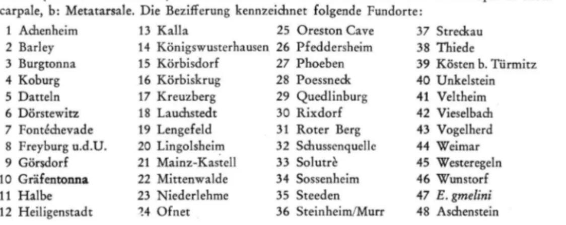 Abb. 3 (vor- u. nebenstehend). Nachmindelzeitliche Pferde in Mittel- und Westeuropa, a: Meta­