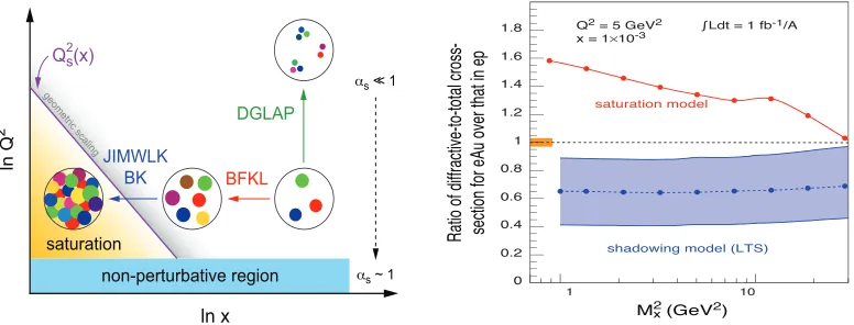Figure 4.Left:saturated parton density, and the transition region between them.section for DIS on gold normalized to DIS on proton for di The schematic probe resolution vs