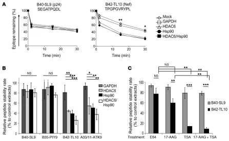 Figure 5The cytosolic stability of some HIV peptides involves Hsp90-HDAC6 complexes. (A) B40-SL9 peptide (aa 44–52 in Nef) or B42-TL10 (aa 128–37) was degraded in cytosol either mock depleted or depleted of GAPDH, HDAC6, Hsp90, or HDAC6 plus Hsp90