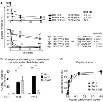 Figure 6Natural mutations occurring during HIV infection affect cytosolic peptide stability and CTL recognition