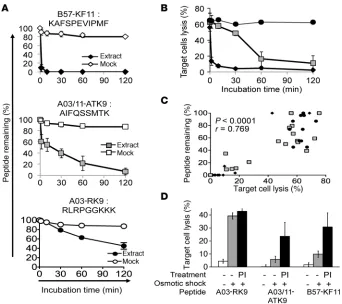 Figure 1Intracellular HIV epitope stability is variable and degradation is correlated with reduced epitope antigenicity