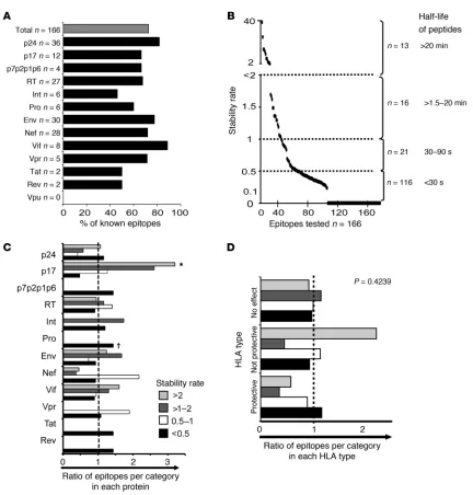 Figure 2The cytosolic stability of HIV epitopes is highly variable. (