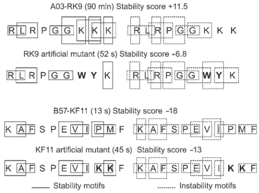 Figure 3Identification of stability and instability motifs in HIV sequences and artificial mutants