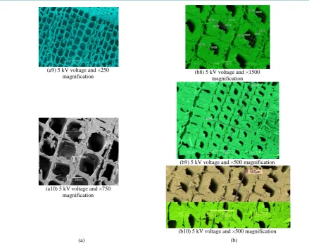 Figure 6. Images of P. Sylvestris under SEM. (a) Unloaded cell and sieve-plate structures; (b) Loaded cell and sieve-plate structures