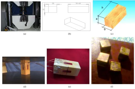 Figure 1. (a) Testing machine DARTEC; (b)-(e) ( ≅ 19.98 × 20.30 × 50.4 mm) sized pinewood (P