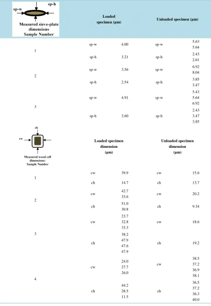 Table 3. The measured dimensional values of the pinewood specimen.                                            
