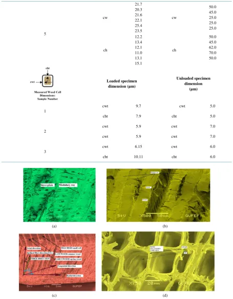 Figure 3. Microscopic transverse section views of P. Sylvestris. (a) Microscopic images (×1000) of sieve-plates; (b) Microscop-ic images (×500) of crystalline cellulose (fibrils) wrapped in a cylindrical shape with an open center; (c) The fibril angle Eta 