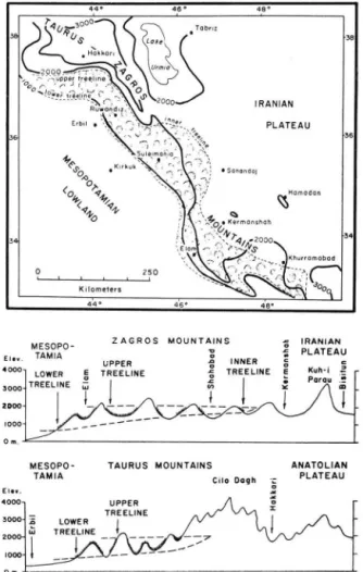 Fig. 4. Generalized map and cross-sections to show relation of treelines to elevation and geogra­