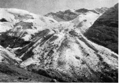 Fig. 7. Moraines at the head of Marana Valley. 