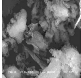 Fig no 6: SEM image of graphite after 100 min milling with 