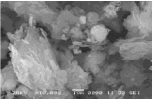 Fig no 7:  SEM image of graphite after 200 min milling with SS balls  