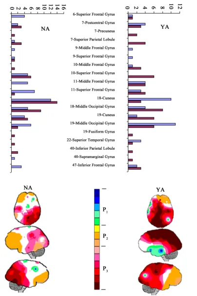Figure 2. Truth evaluation: the most frequent locations of Loreta sources identified for NA and YA (upper graph) and PCA mappings associated with these identified sources