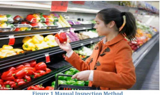 Figure 1 Manual Inspection Method 