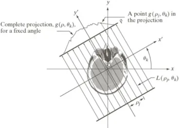 Figure 2 Defected vegetable 