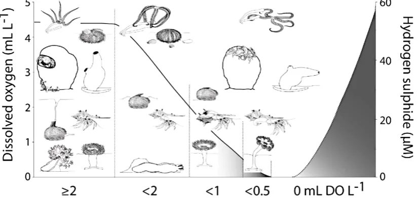 Fig. 3. Behavioural reactions of key species across oxygen concentrations/thresholds.
