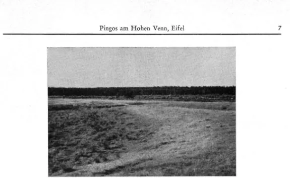 Abb. 3. Periglaziale Rinne (links im Bild) mit Wal! (rechts im Bild) am SE-Abfall des Hohen  Venns/Eifel